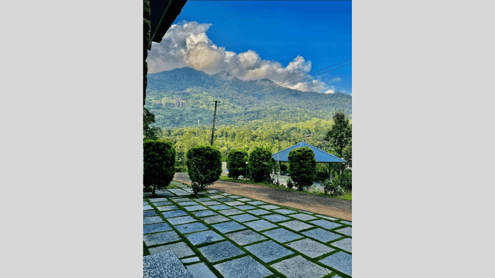 Untitled design(423)