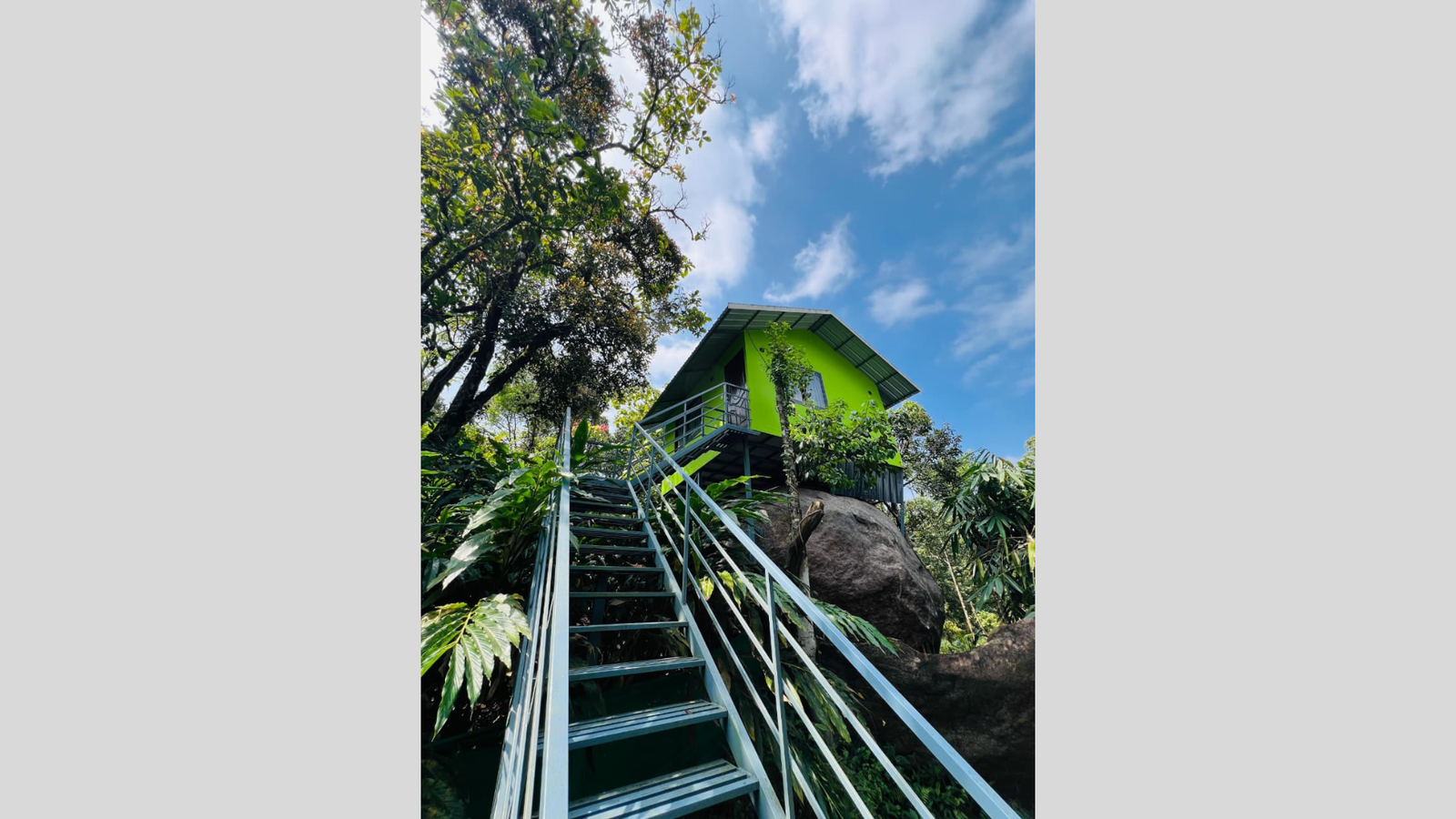 Untitled design(435)