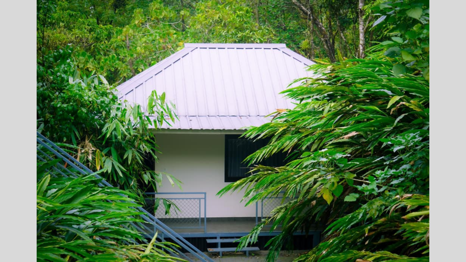 Untitled design(440)