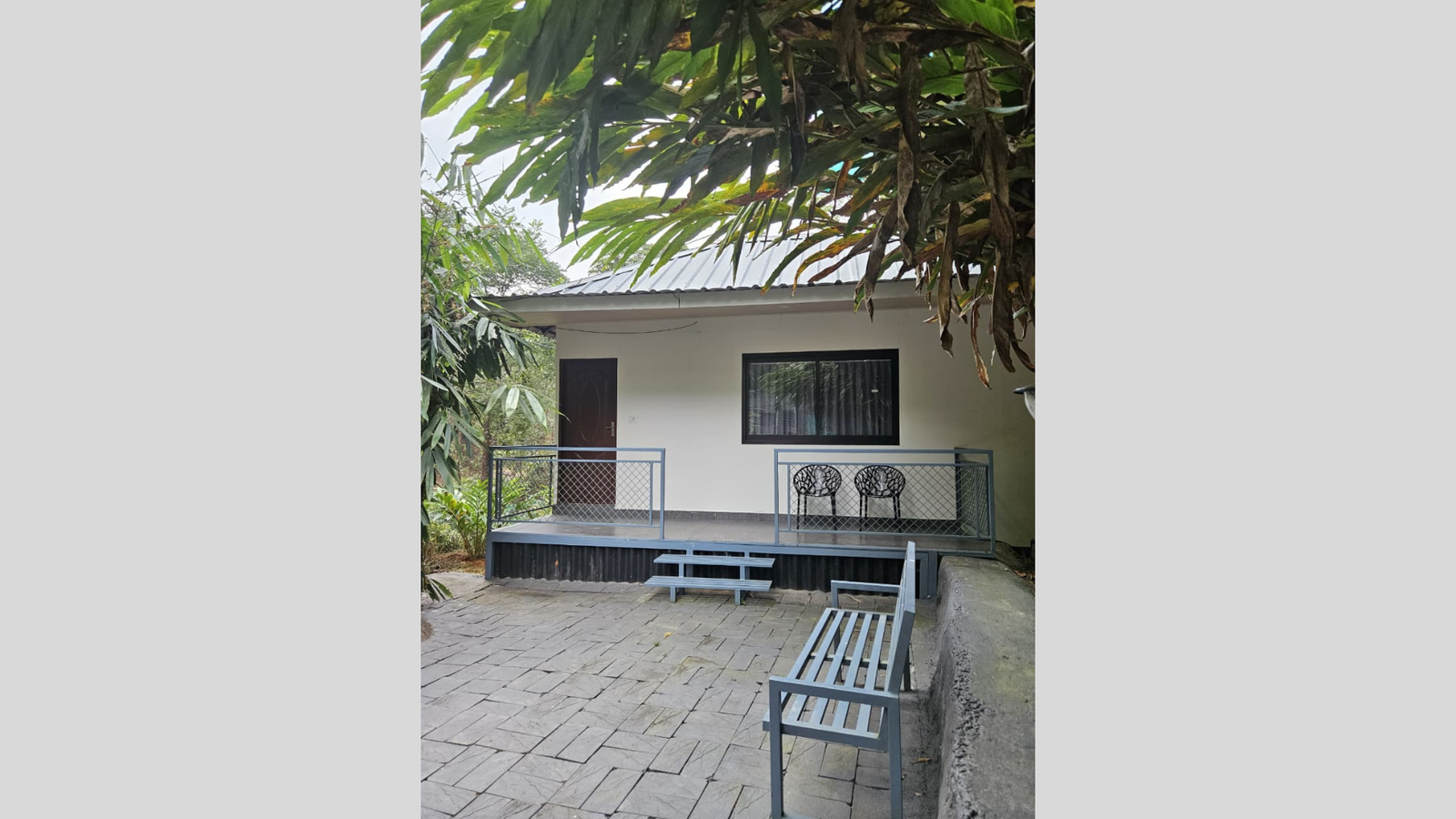 Untitled design(441)