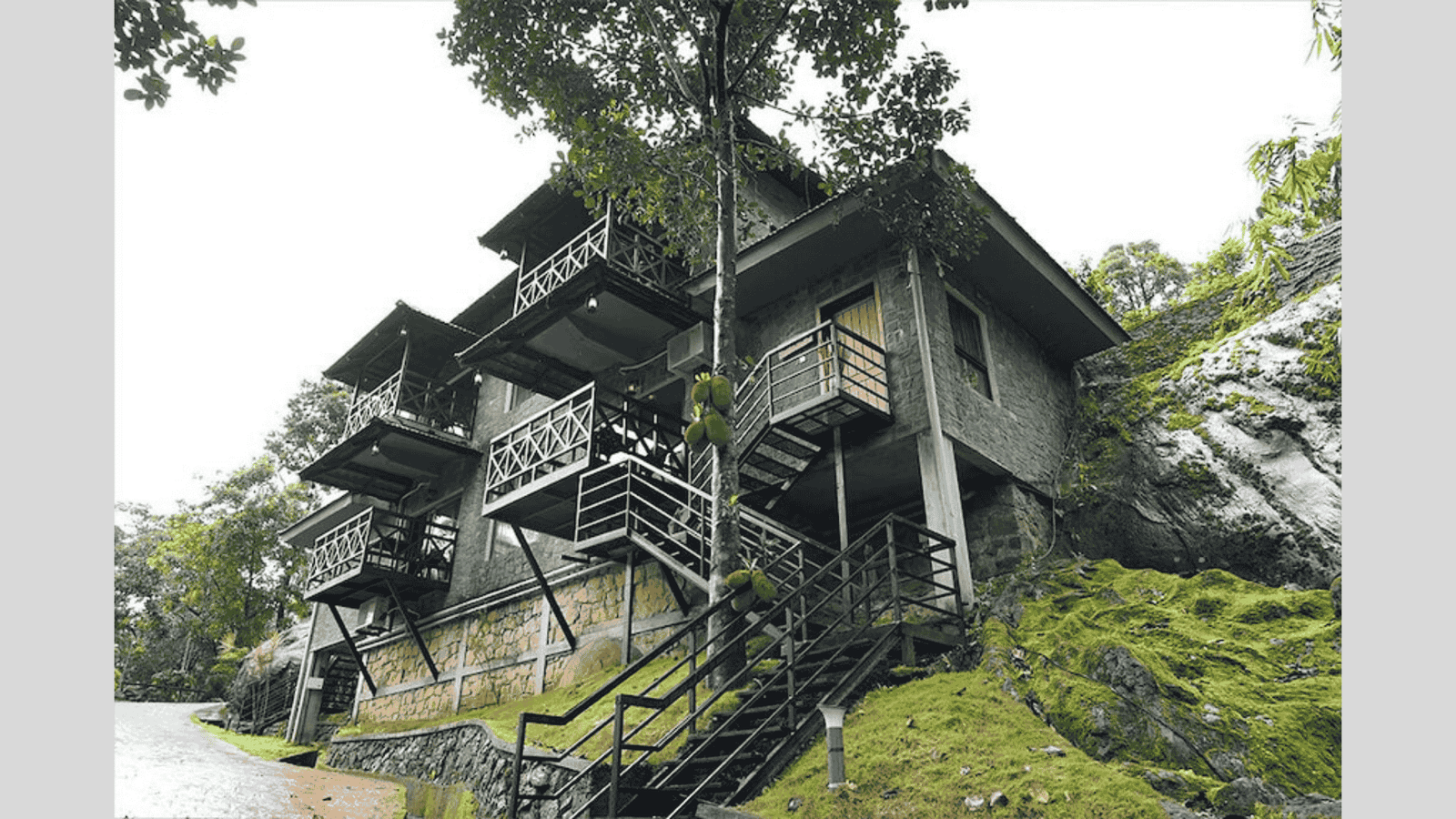 Untitled design(446)